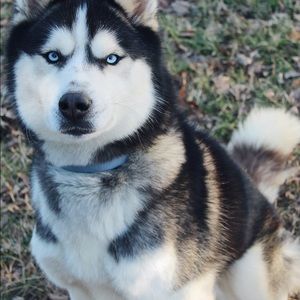 Meet your Posher, Cierra